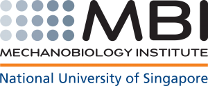 Mechanobiology Institute, Singapore